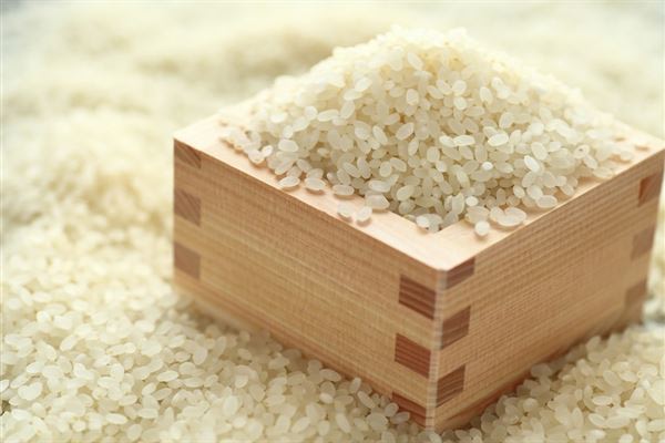 白麴的主要原料是磨成粉的米和米糠，蒸熟後加入適量中藥和麴粉混合發酵而成。