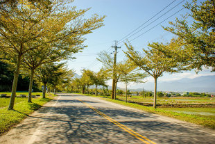 花蓮193縣道適合騎著單車來一趟低碳旅遊 (圖片來源／花東縱谷國家風景區管理處)
