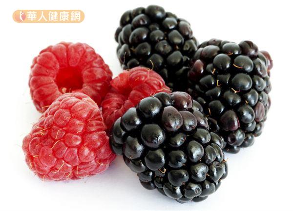 圖左為紅色覆盆子，體積較小、果實中空；圖右為黑莓，體積較大、中間有果核。