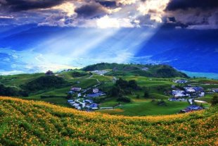 赤柯山最知名的是它的金針花海景觀。（圖片來源／美好生活的連結者）