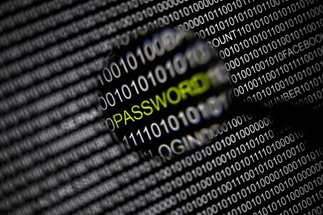 File picture illustration of the word &#39;password&#39; pictured through a magnifying glass on a computer screen, taken in Berlin May 21, 2013. Security experts warn there is little Internet users can do to protect themselves from the recently uncovered &quot;Heartbleed&quot; bug that exposes data to hackers, at least not until vulnerable websites upgrade their software. Researchers have observed April 8, 2014, sophisticated hacking groups conducting automated scans of the Internet in search of Web servers running a widely used Web encryption program known as OpenSSL that makes them vulnerable to the theft of data, including passwords, confidential communications and credit card numbers. OpenSSL is used on about two-thirds of all Web servers, but the issue has gone undetected for about two years. REUTERS/Pawel Kopczynski/Files (GERMANY - Tags: CRIME LAW SCIENCE TECHNOLOGY)