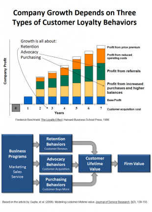 What is Customer Loyalty? Part 2: A Customer Loyalty Measurement Framework image Business Growth Depends on 3 Types of Loyalty 734x1024