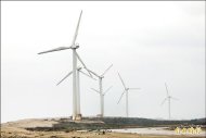 再生能源夯 桃園爭地蓋風車