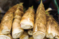 竹筍高纖解便秘，與豆腐同食恐結石