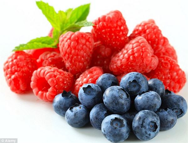 藍莓和覆盆子等莓果，可以幫助燃燒脂肪，打擊肥胖！（圖片／取材自《每日郵報》Daily Mail）