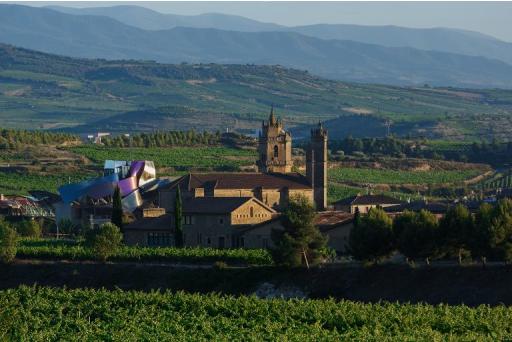 Vista general del viñedo Márques de Riscal en la localidad de Elciego, cerca de Logroño, en La Rioja, el 22 de julio de 2014