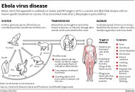 伊波拉引恐慌 非洲民襲治療所