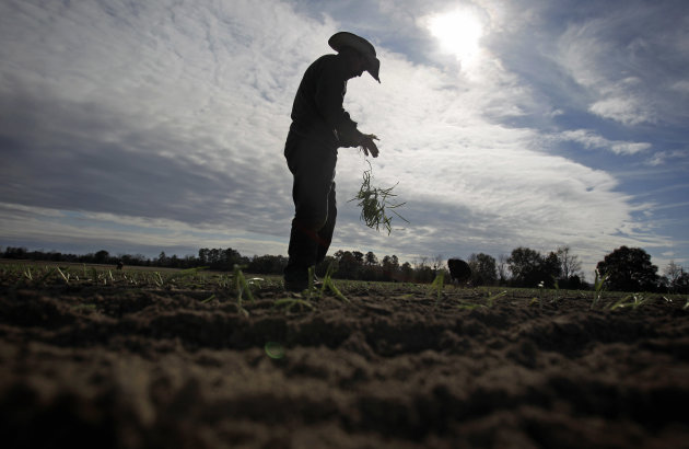 La agricultura es un negocio que no pasa de moda (AP Photo/David Goldman, File)