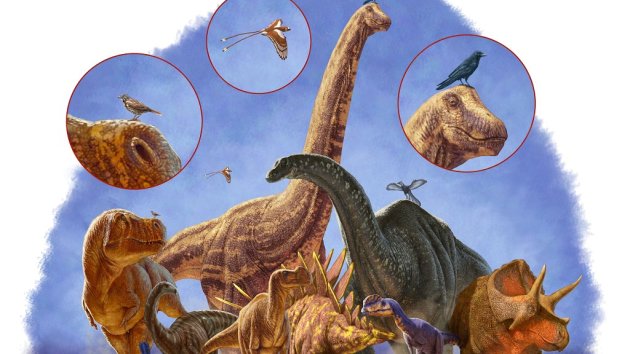 A depiction of dinosaur body size evolution and shape over 170 million years