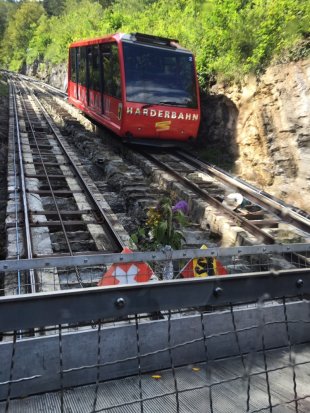 開往瑞奇山的齒輪高山火車採用齒輪軌道，難得一見。