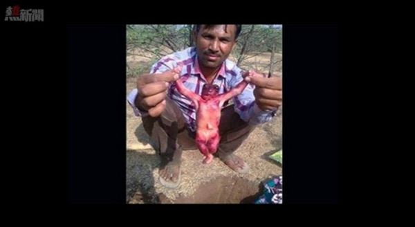 印度水井發現「奇怪生物」  世界奇闻