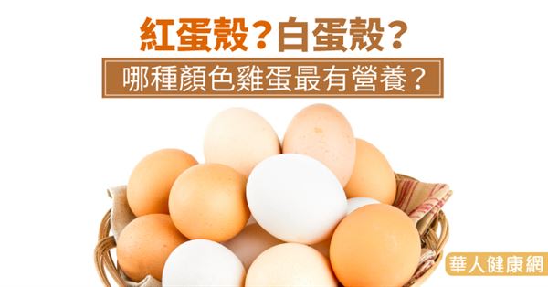紅蛋殼？白蛋殼？哪種顏色雞蛋最有營養？