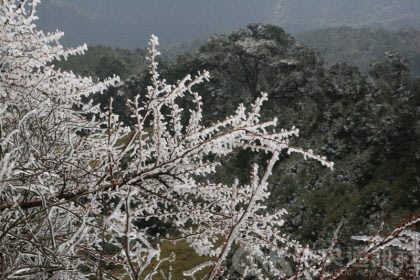 (中央社／資料照)