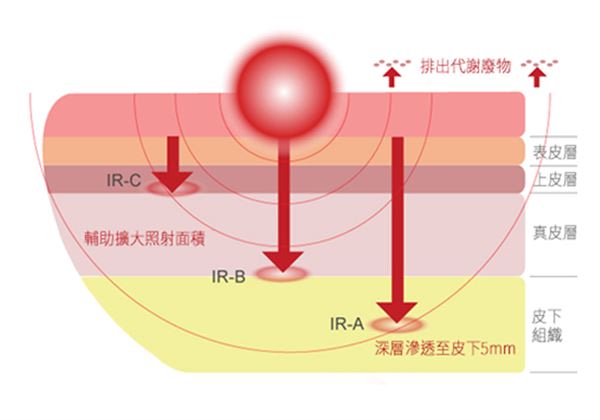 紅外線可分為近-中-遠三種波長，各種波長的紅外線，皆可產生溫熱功效，但是因穿透的深度不同而有不同的效果。