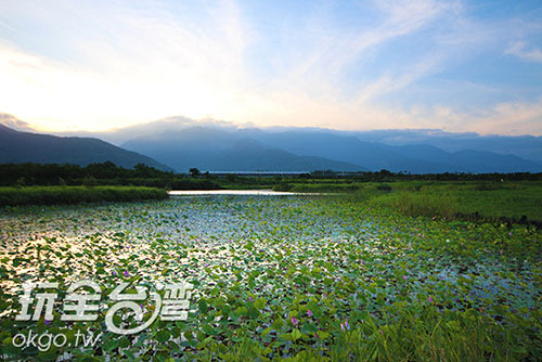 鹿野新良人工濕地／玩全台灣旅遊網攝