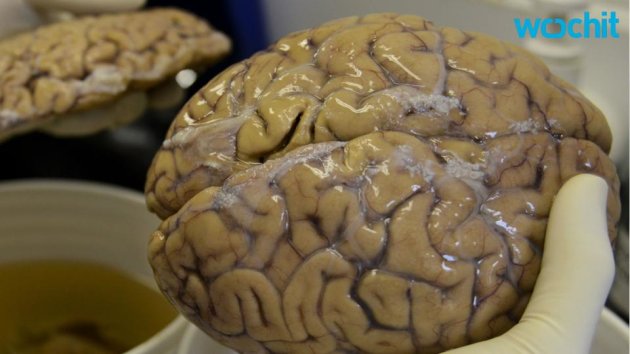 Investigación revela que tribu caníbal que comía cerebros se volvió inmune a enfermedades mentales.
