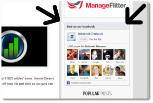 How to Get More Likes on Your Facebook Page image Facebook like box