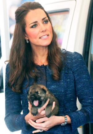 Kate Middleton, Prince William Pose With Adorable Police&nbsp;&hellip;
