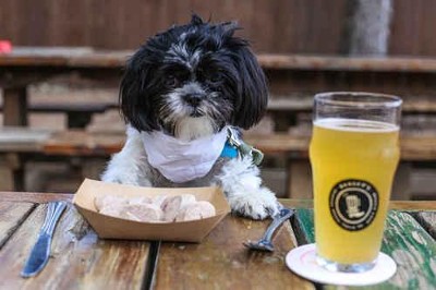 10 Restaurants Where Dogs Are Served Steak, Beer, and Ice Cream