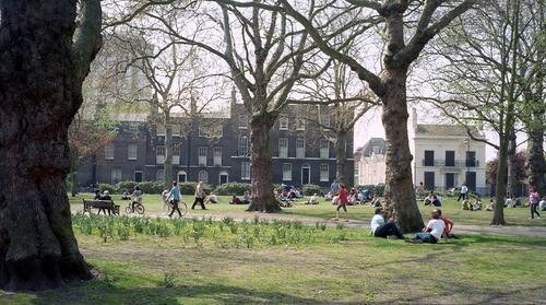 london fields park