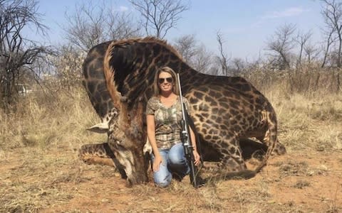 Many have been quick to condemn the killing of a giraffe - Credit: Twitter/Africalandpost