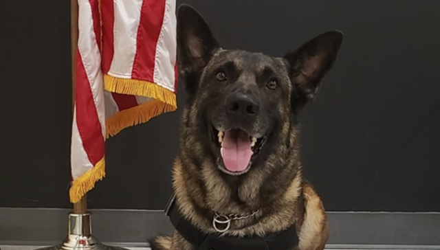 Shelby County Sheriff’s Office praise K-9 Bandit, and his handler, deputy Frank Bleigh, for locating a missing three-year-old in just 10 minutes. (Photo: Facebook)