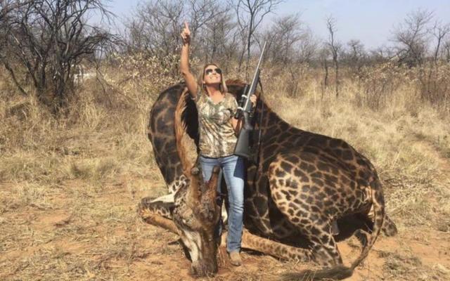 Tess Thompson Talley, a hunter from Kentucky, USA, showing off her kill, a rare black giraffe in South Africa - Twitter/Africalandpost