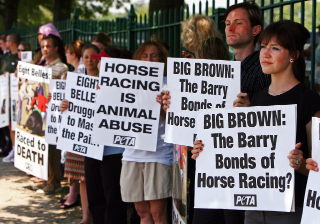 The death of Eight Belles at the 2008 Kentucky Derby was cause for protest that year as Belmont hosted the third leg of the Triple Crown. (Getty)